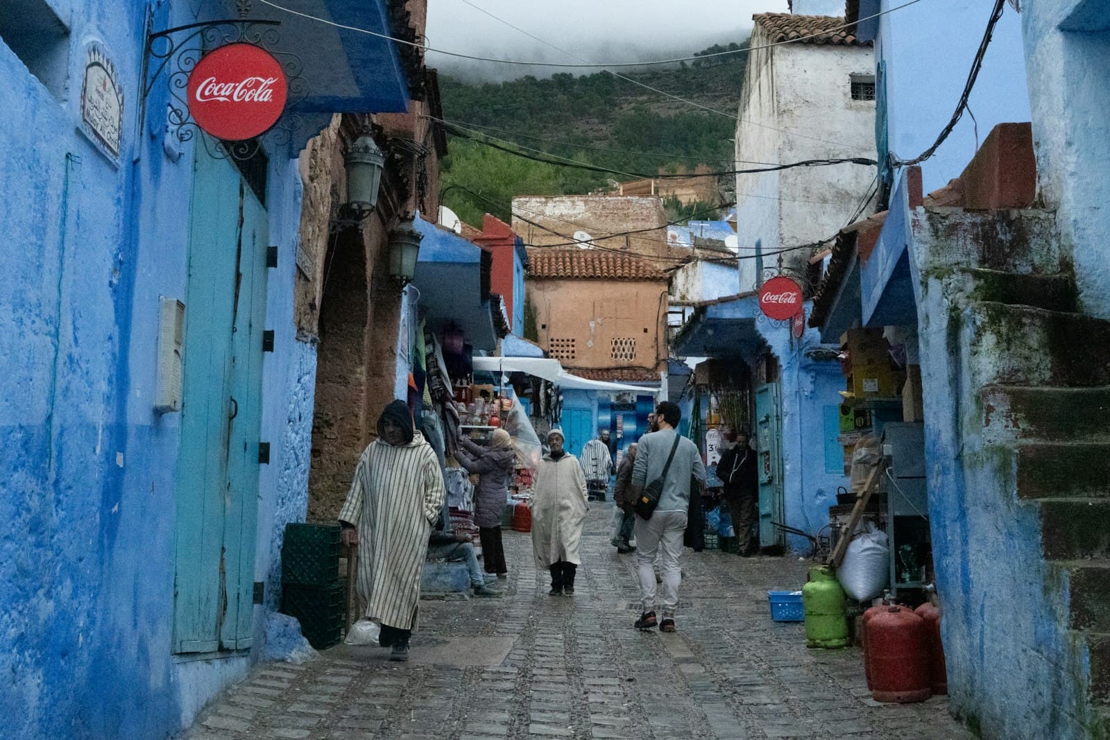 Les ruelles blanches et bleues de Sidi Bou Saïd